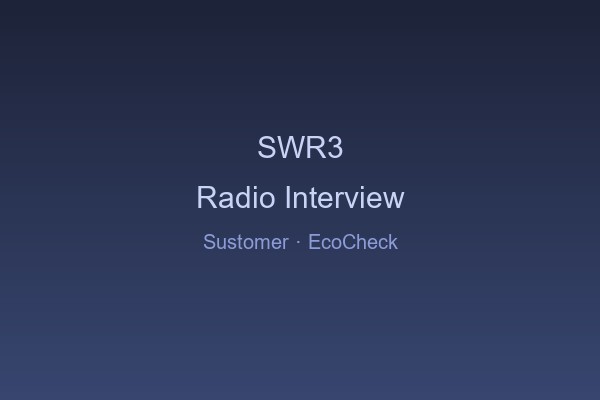 SWR3 Radio Interview